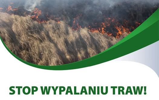 Zdjęcie do STOP wypalaniu traw!