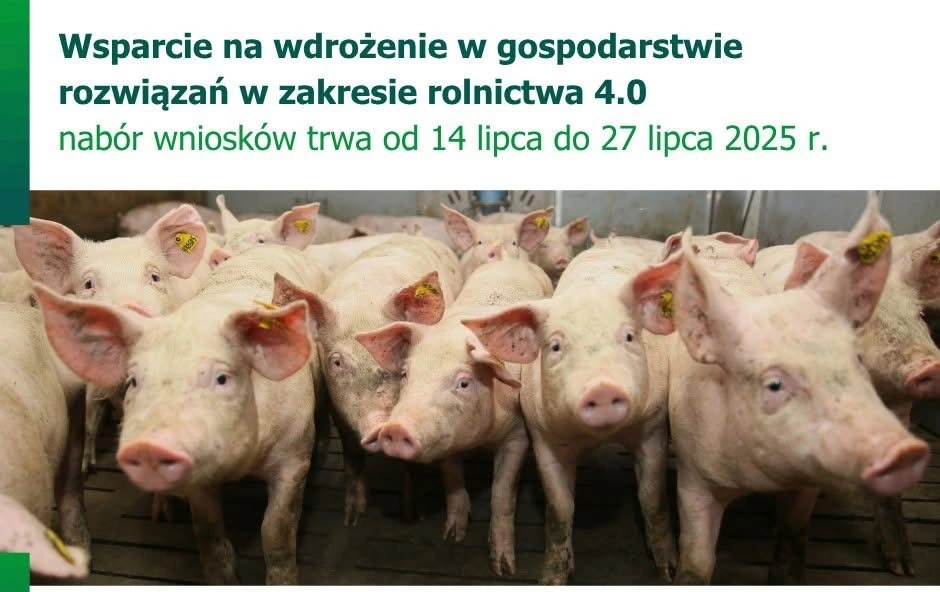Zdjęcie do Ruszył nab&oacute;r wniosk&oacute;w na wsparcie w zakresie rolnictwa 4.0.