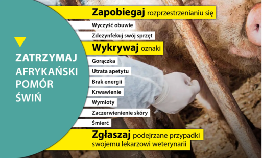 Zdjęcie do ASF