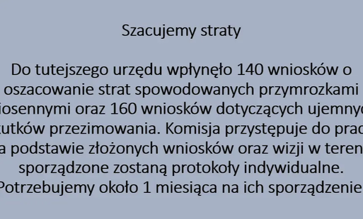 Zdjęcie do Szacujemy straty