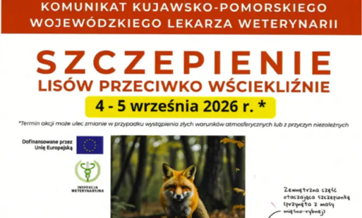 Zdjęcie do Szczepienie lis&oacute;w