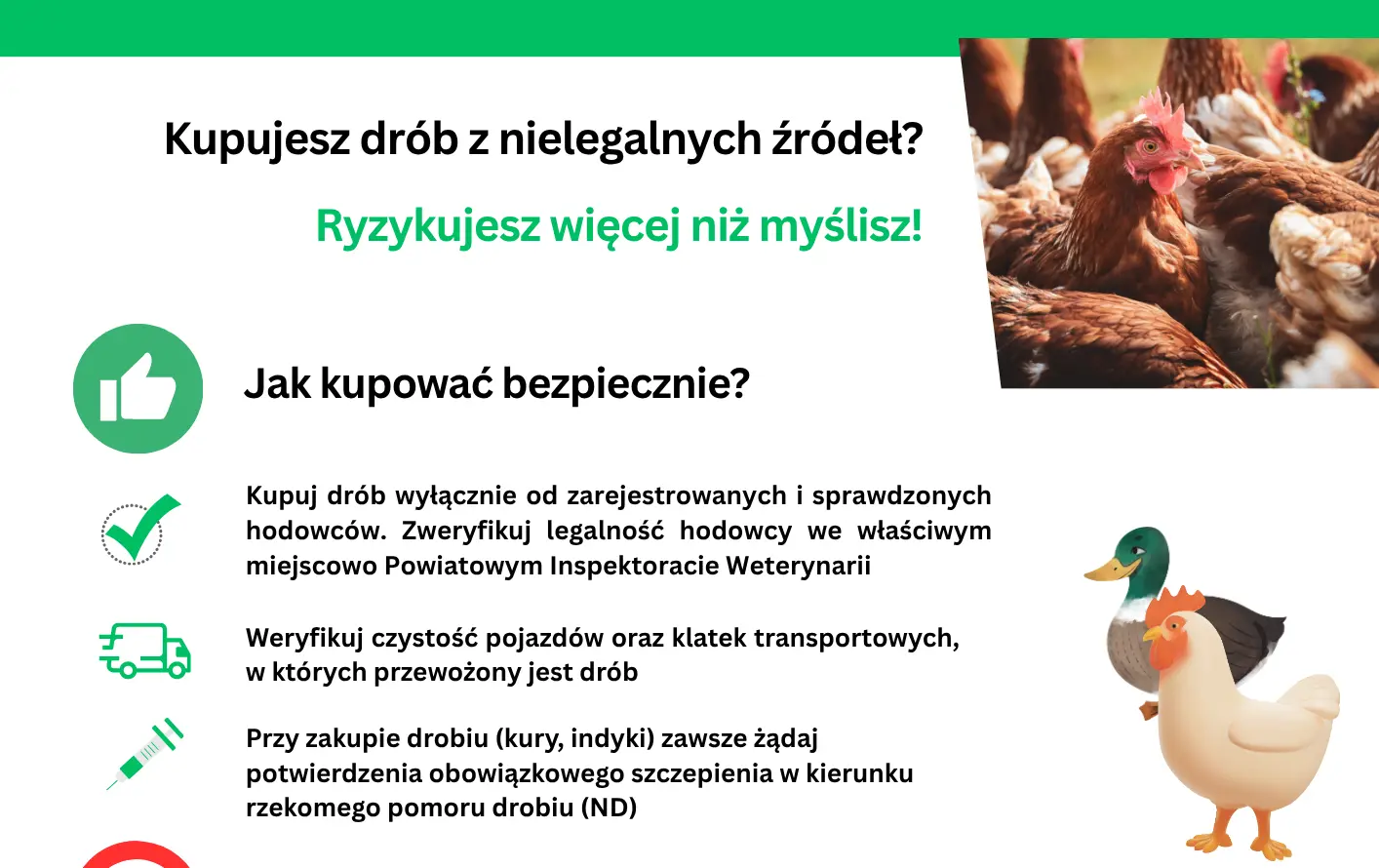 Zdjęcie do Ulotka informacyjna