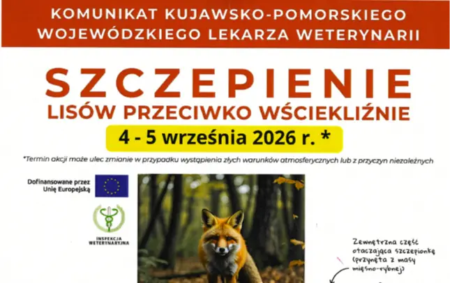 Zdjęcie do Szczepienie lis&oacute;w