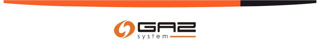 logo gaz system 51dba